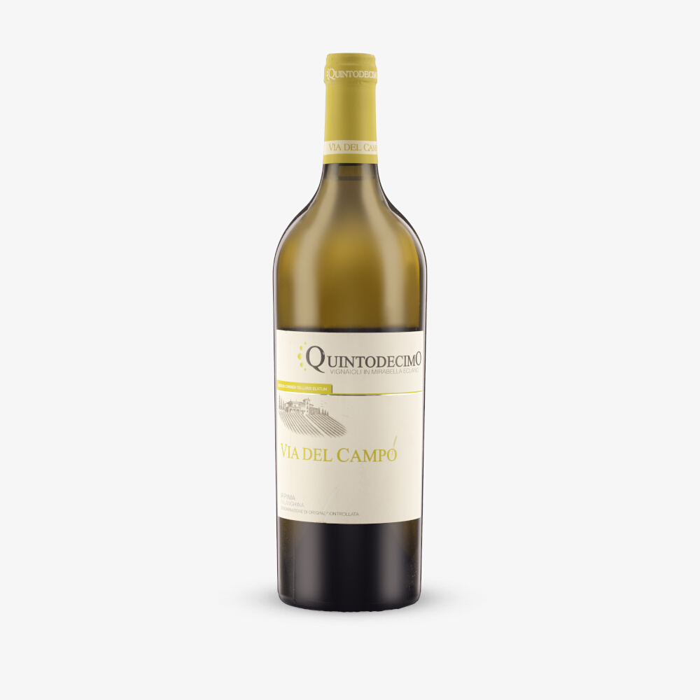Quintodecimo